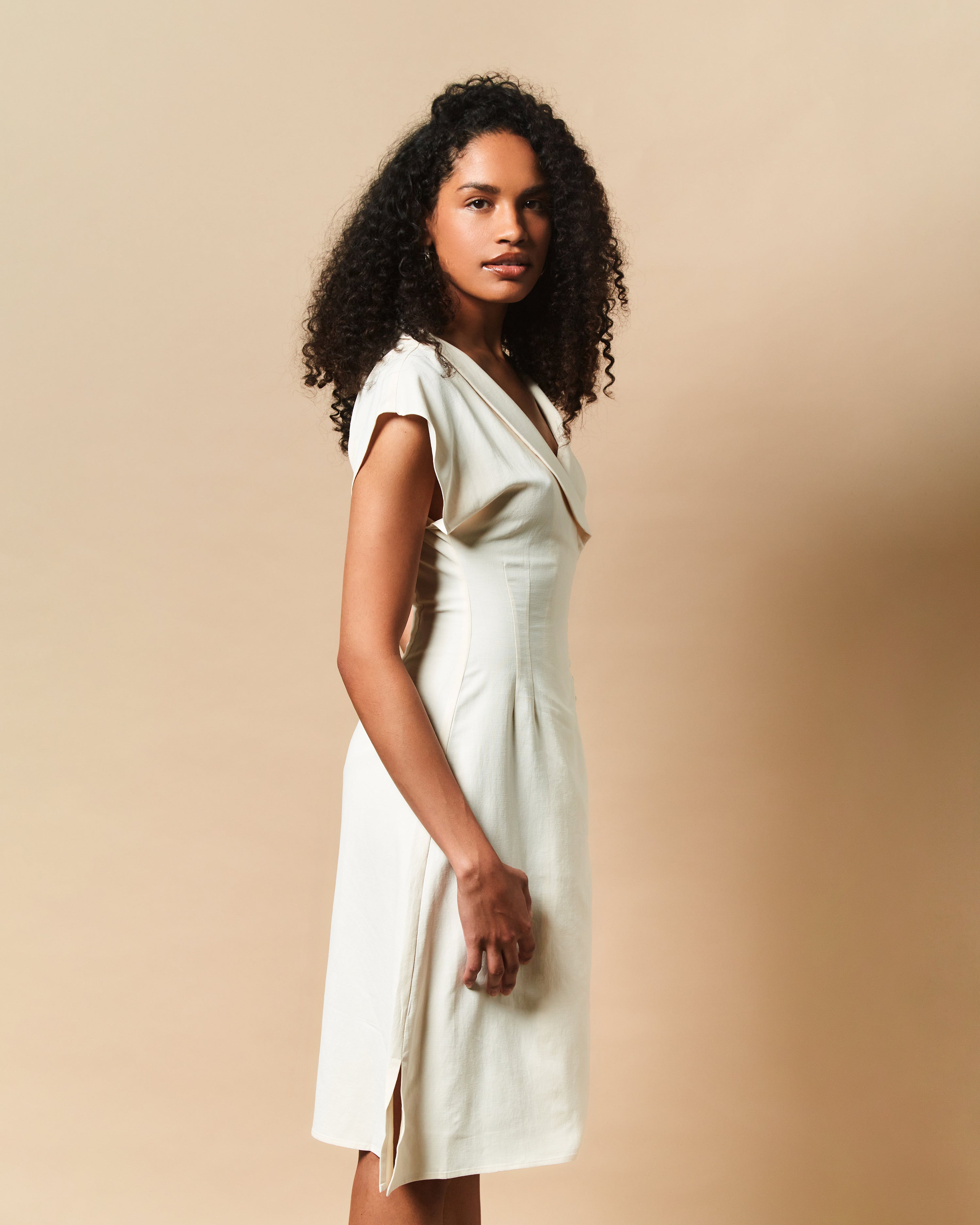 Rhianna Mini Dress in Champagne – Leigh New York